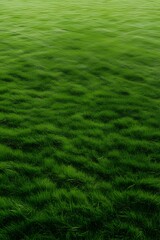 Seamless Field of Lush Green Grass under Soft Light

