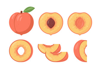 Fresh peach fruits icons. Whole and cut peaches, pieces and slices. Organic fruits for juice, smoothie or vitamin C healthy food. Vector illustration isolated on white background.