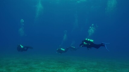 Group of scuba divers swimming in deep of turquoise water along sandy seabed, Slow motion - Powered by Adobe