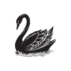 Elegant Black Swan Swimming Silhouette