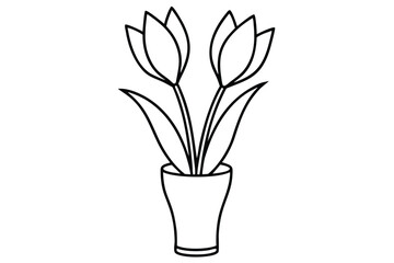 Outline Drawing of Two Tulips in a Vase, Simple Line Art