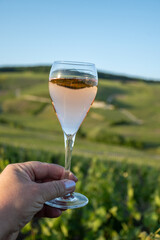 Hand with glass of rose sparkling wine brut, grand reserve, champagne in Ay-Champagne on green hilly vineyards in old wine making village in Vallee de la Marne, Champagne region, France