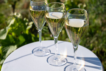 Pouring and tasting of dry sparkling wine brut, grand reserve, champagne in Ay-Champagne on green hilly vineyards in old wine making village in Vallee de la Marne, Champagne region, France