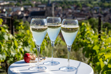 Pouring and tasting of dry sparkling wine brut, grand reserve, champagne in Ay-Champagne on green hilly vineyards in old wine making village in Vallee de la Marne, Champagne region, France