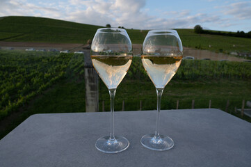 Glasses of white sparkling wine brut, grand reserve, champagne on green hilly vineyards in old wine making grand cru Ay-Champagne village in Vallee de la Marne, Champagne, France