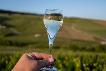 Sunset with glass of white sparkling wine brut, grand reserve, champagne in Ay-Champagne on green hilly vineyards in old wine making village in Vallee de la Marne, Champagne, France