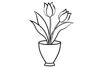 Outline Drawing Two Tulip Flowers with Leaves Arranged in a Vase Image