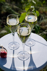 Pouring and tasting of dry sparkling wine brut, grand reserve, champagne in Ay-Champagne on green hilly vineyards in old wine making village in Vallee de la Marne, Champagne region, France