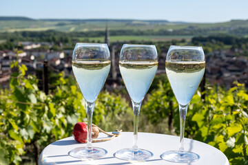 Pouring and tasting of dry sparkling wine brut, grand reserve, champagne in Ay-Champagne on green...