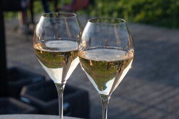 Glasses of white sparkling wine brut, grand reserve, champagne on green hilly vineyards in old wine making grand cru Ay-Champagne village in Vallee de la Marne, Champagne, France