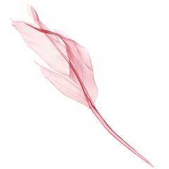 Artistic Arrow with Dynamic Motion in Soft Rose Col Isolated on Transparent Background