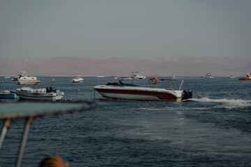 Obraz premium Botes mar