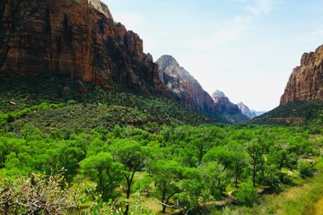 Scenic view at Zion National Park 