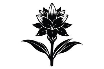 Striking Black Silhouette of Turmeric Flower and Leaves on Simple Stem Design