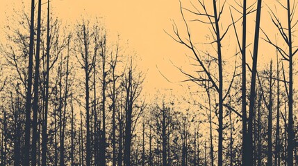 Obraz premium Silhouette of Leafless Trees in Golden Sunset Landscape