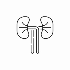 human kidneys illustration icon sign vector