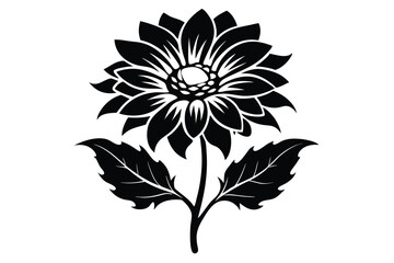 Elegant Black Dahlia Flower with Detailed Petals and Leaves Silhouette Illustration