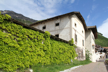 verde muraglia e antiche case a Cortaccia (Bolzano)