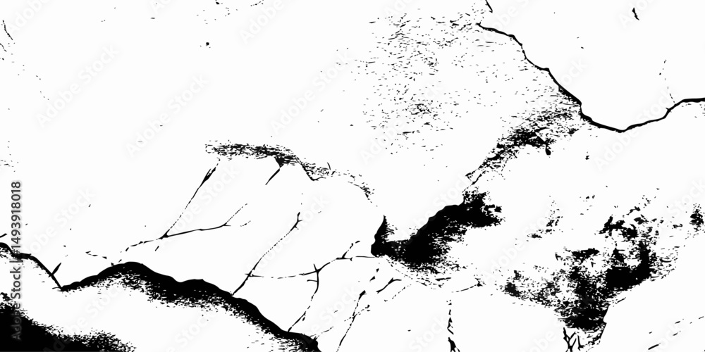 Poster abstract black and white image showing a crack running diagonally across a textured surface design e