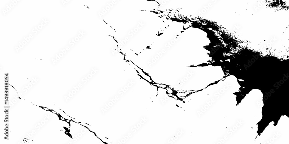 Poster abstract black and white image showing a crack running diagonally across a textured surface design e