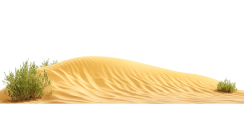 Desert sand dune with sparse vegetation, natural texture, cut out transparent