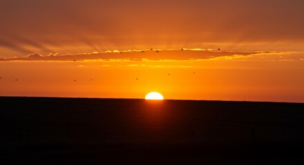 Fototapeta premium Vibrant Orange Sunset Over Dark Horizon