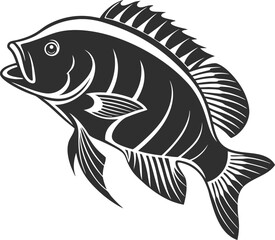 vector illustration of a tilapia fish