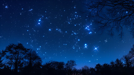 Naklejka premium _Star_constellation