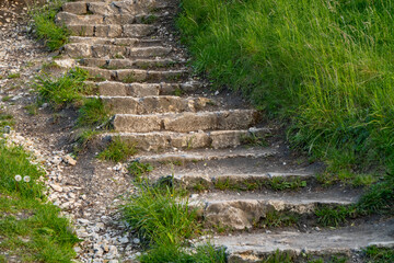 Old stone steps in a grassy hillside, worn by time and footsteps. A rustic natural path in a...