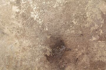 Decorative putty sample on the wall home repairs