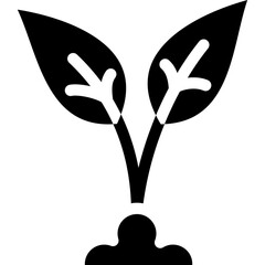 Sprout Icon