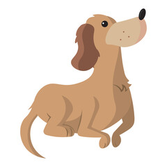 Colored cute dog character Vector