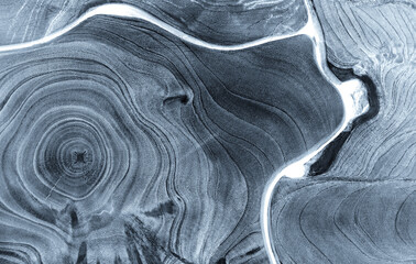 Blue gray and white monotone close up of vintage end grain of wood slab. Tree rings art with...