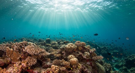 Fototapeta premium Underwater scene showcasing vibrant coral reefs illuminated by sun rays, teeming with colorful fish and marine life