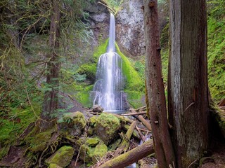 The scenic Marymere falls in northwest Washington.