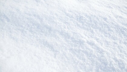 Undisturbed Blanket of Fresh Crisp White Snow