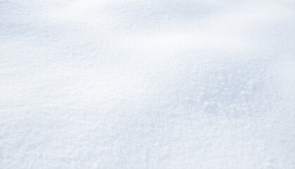 Obraz premium Untouched Powder Freshly Fallen Snowscape