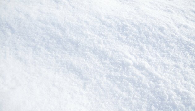 Undisturbed Blanket of Fresh Crisp White Snow