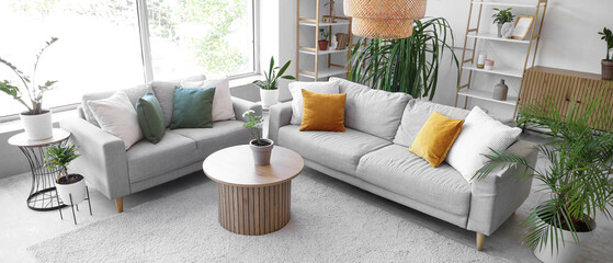 Interior of light living room with green houseplants, sofas and table