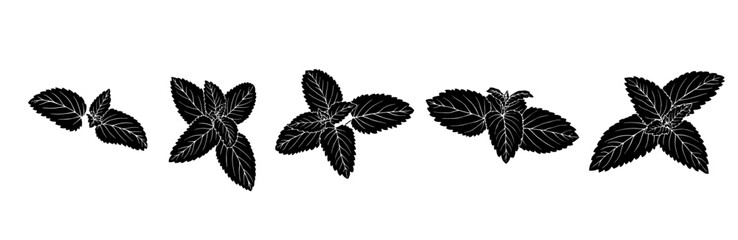 Mint leaf silhouette, stamp set. Vector graphics.