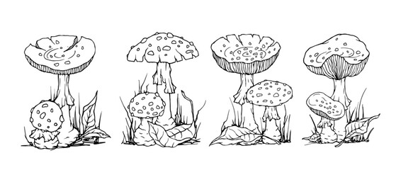 Set of sketches of autumn compositions of fly agaric mushrooms, dry leaves, forest grass. Vector graphics.