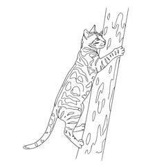 Bengal cat climbing a tree Simple Vector Outline in minimalistic black and white design