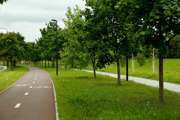 View of city park with bicycle lane and green trees
