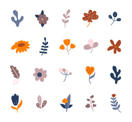 Flower scandinavian style set, natural decorative plants and charming botanical elements for your illustrations, creative designs projects and relaxing nature inspired compositions