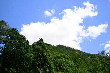 風薫る五月の空