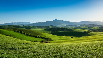 Obraz premium vibrant green fields with rolling hills and distant mountains under a clear blue sky