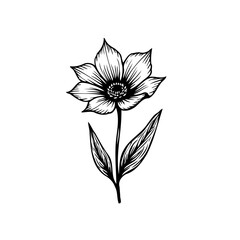 Elegant monochrome botanical illustration depicting a stylized flower blossom