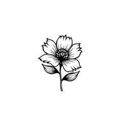 Delicate botanical drawing of a flower with intricate details and graceful lines
