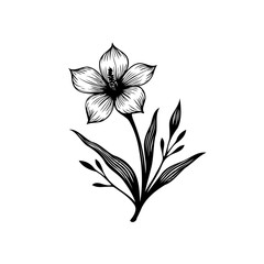 Elegant monochrome floral drawing featuring a stylized blossom and foliage