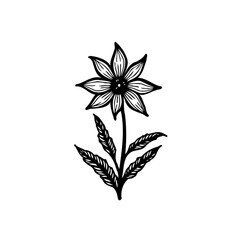 Elegant monochrome floral illustration with stylized petals and foliage design